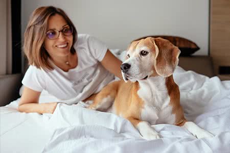 Hund im Bett