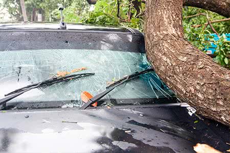 Sturmschäden am Auto