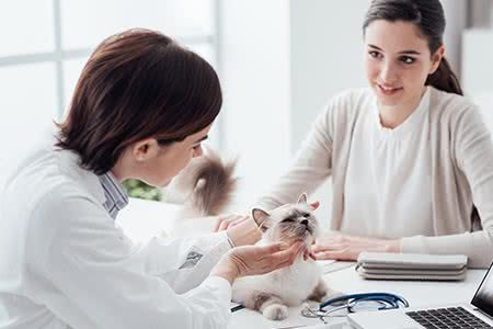 Krankenhaus-Zusatzversicherung