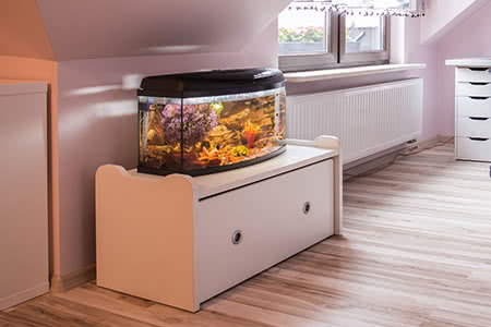 versicherungscheck24.de – Hausratversicherung Aquarium