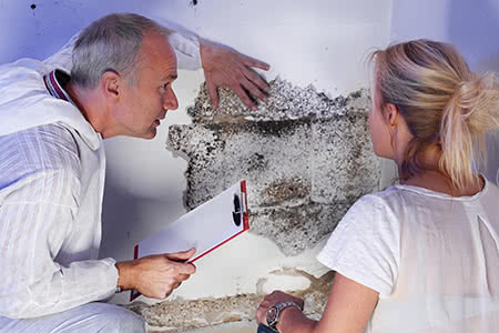 versicherungscheck24.de – Hausratversicherung Schimmel