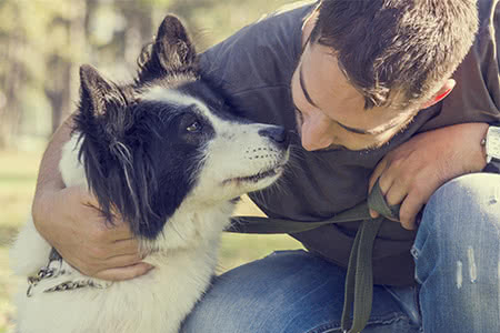 versicherungscheck24.de – Hundehalterhaftpflicht Gesetz