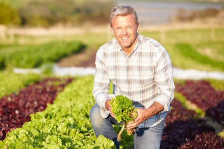 Haftpflichtversicherung Landwirtschaft