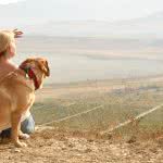 Hundehalterhaftpflicht