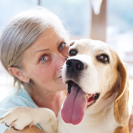 Hundehalterhaftpflicht Vergleichsrechner - Frauchen mit einem Hund