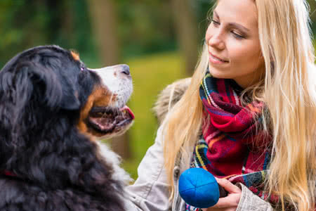 Hundehalterhaftpflicht - Frauchen mit einem Hund